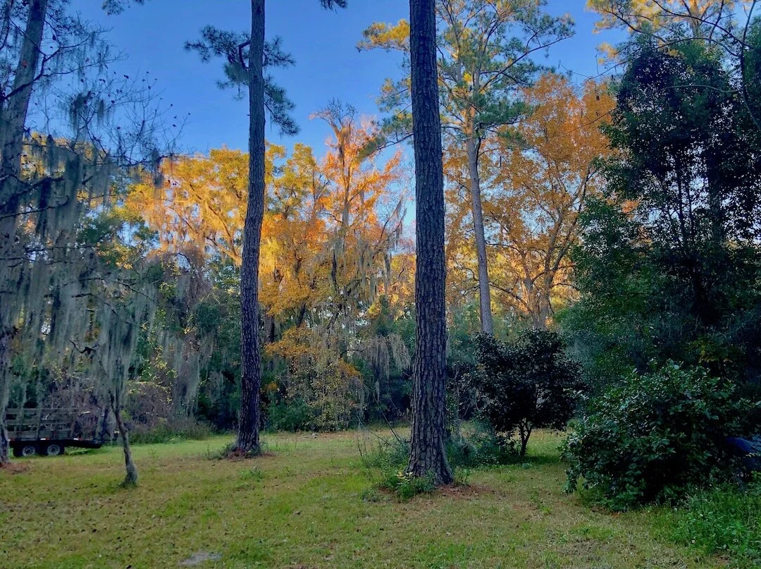 Day 48: Quiet and Dark