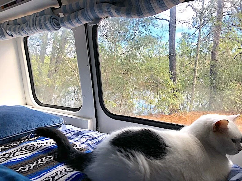 Day 54: Seven hours of bliss