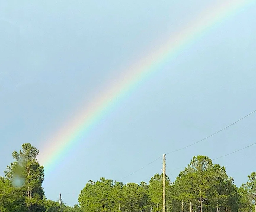 Day 126: Rain and Rainbows