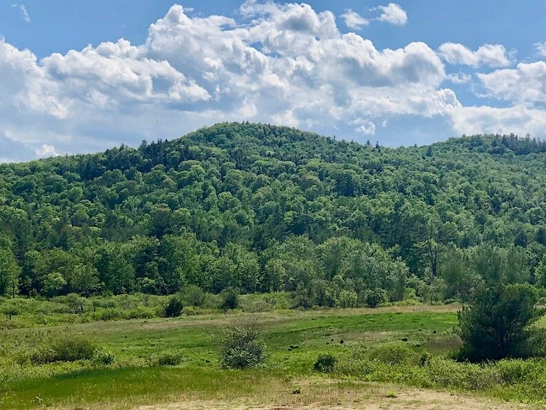 june 5&nbsp; 1:37am  Settling In