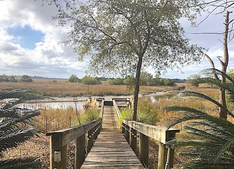 DAY 377: Greetings from the Sunshine State