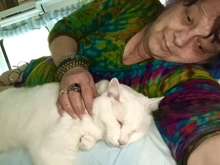 DAY 382: Rain and More Rain