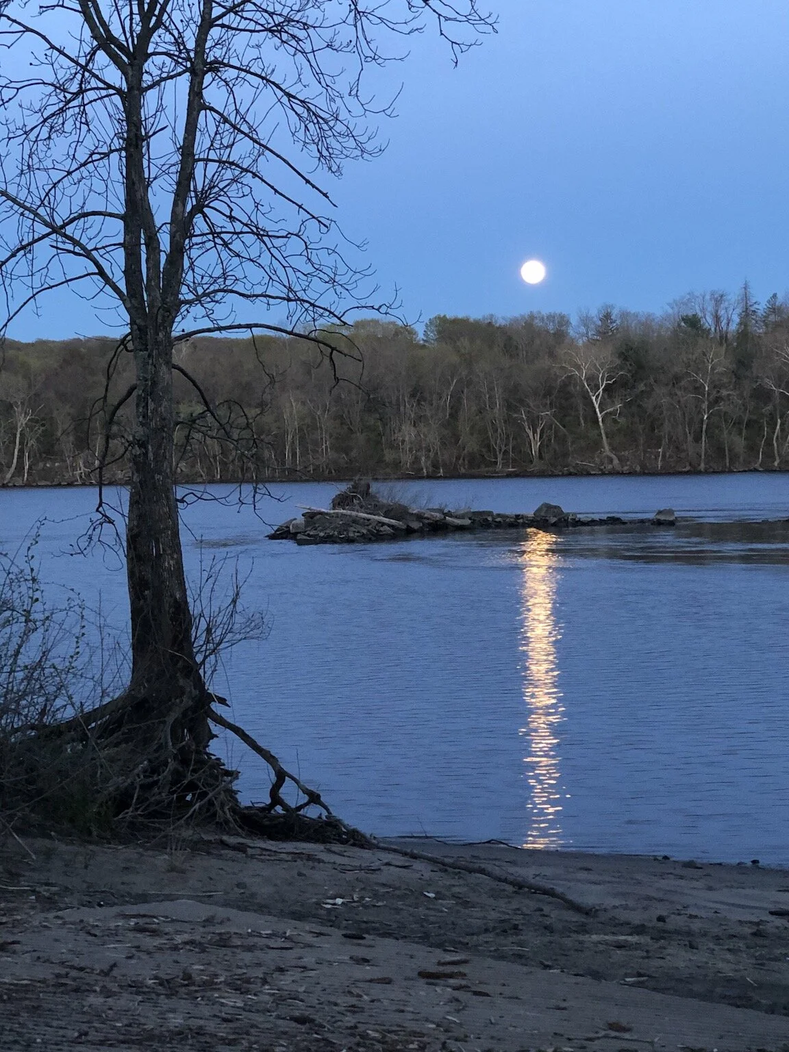 DAY 453: Full Moon in Scorpio