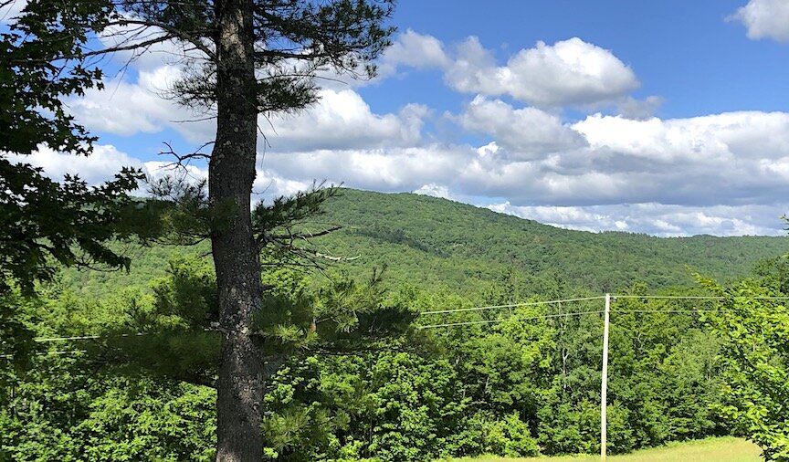 June 23: Bus Inspection