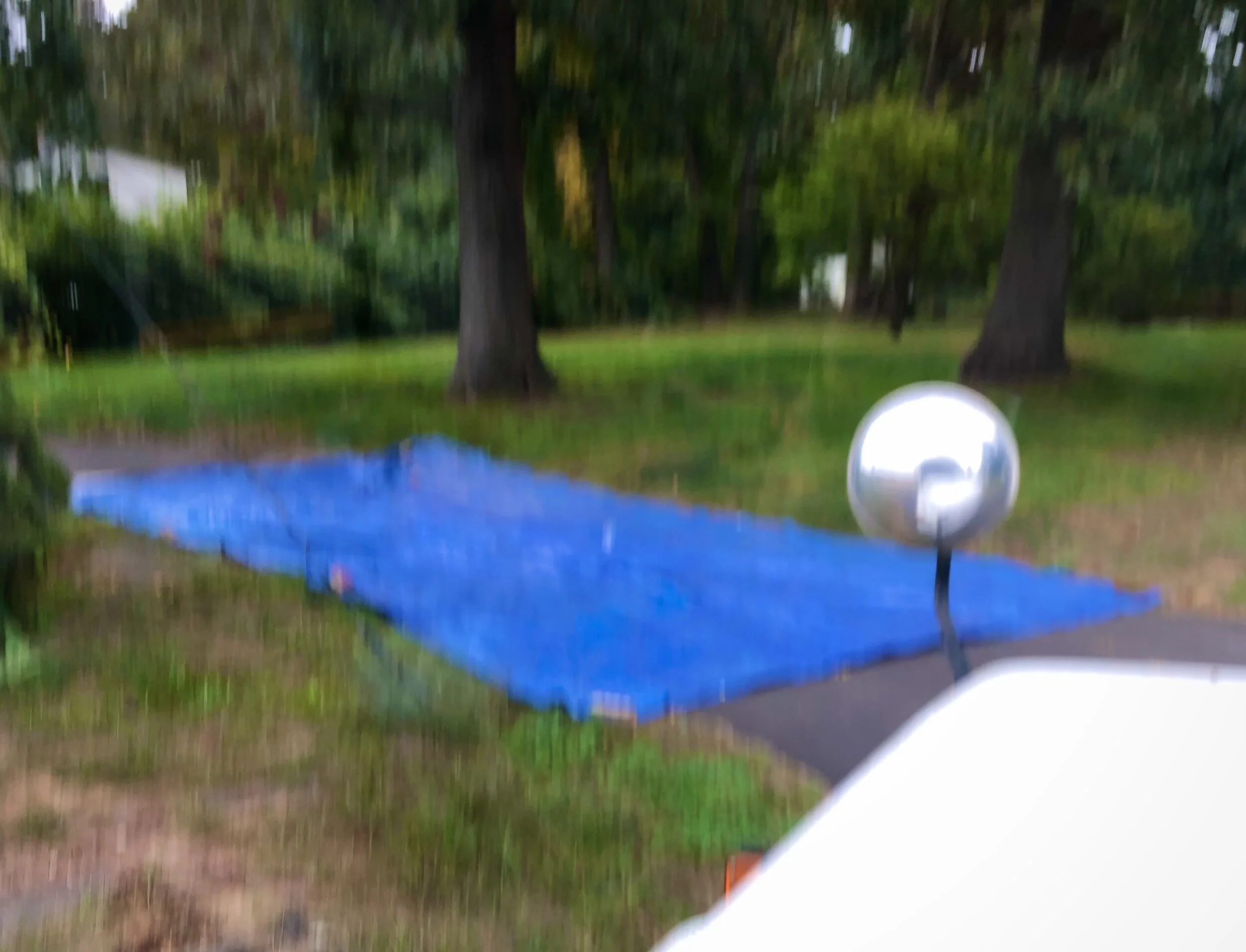 DAY 498: Magic Is Everywhere