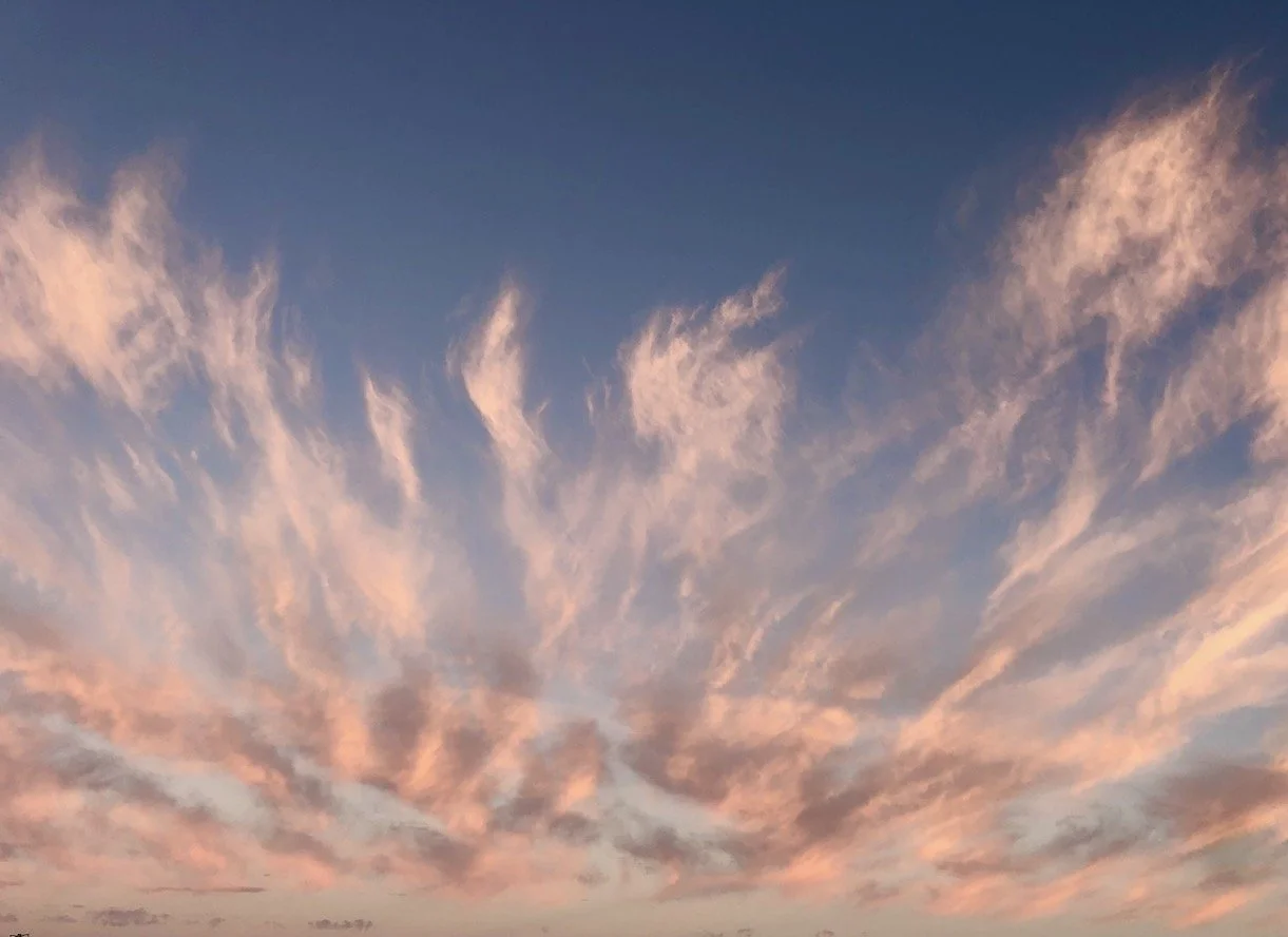 DAY 583: Good Morning