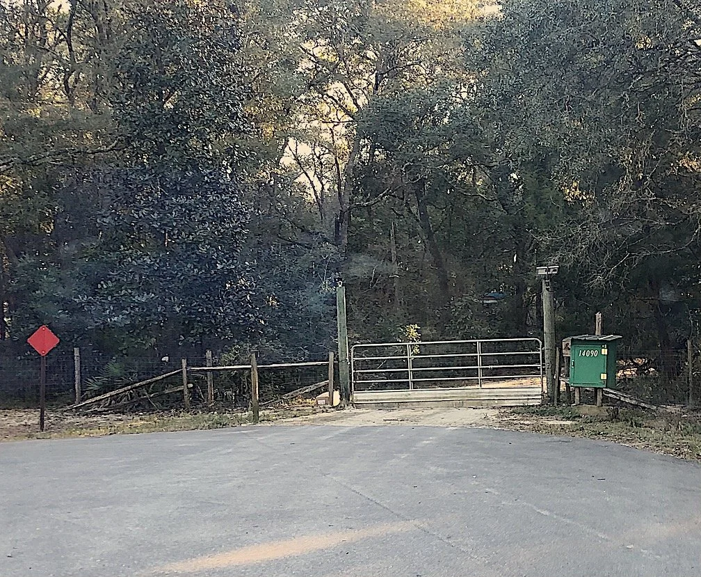 DAY 586: Lazy Cloudy Days of Winter