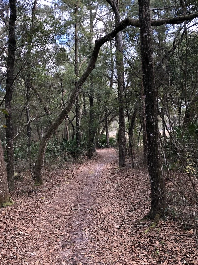 Day 600: I Had No Idea