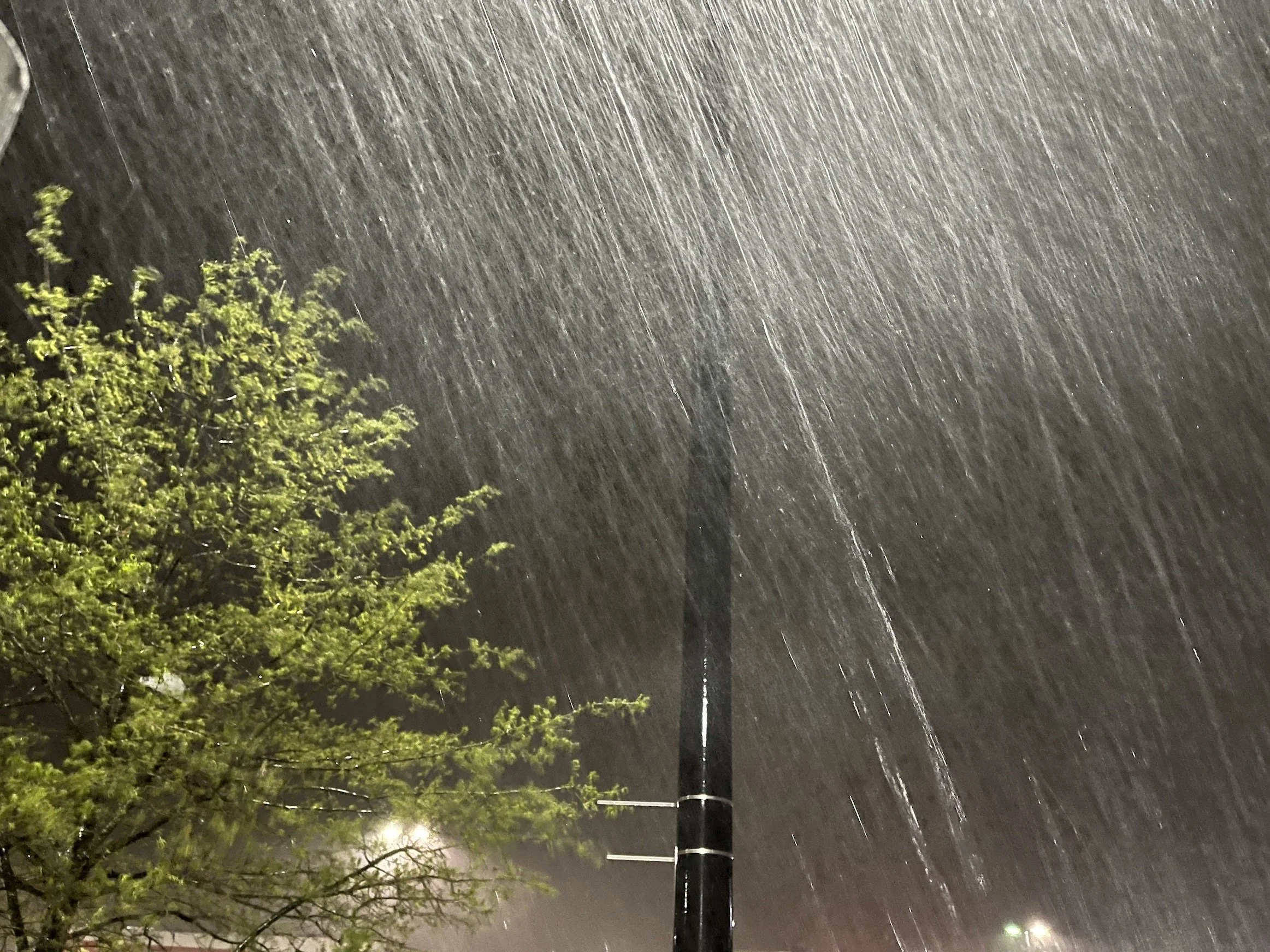 DAY 685: Wild Weather