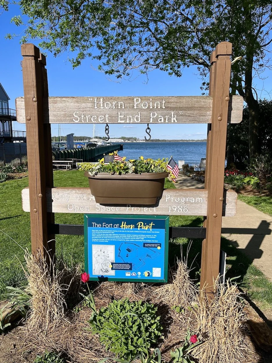 DAY 686: "Signs, signs, everywhere a sign"