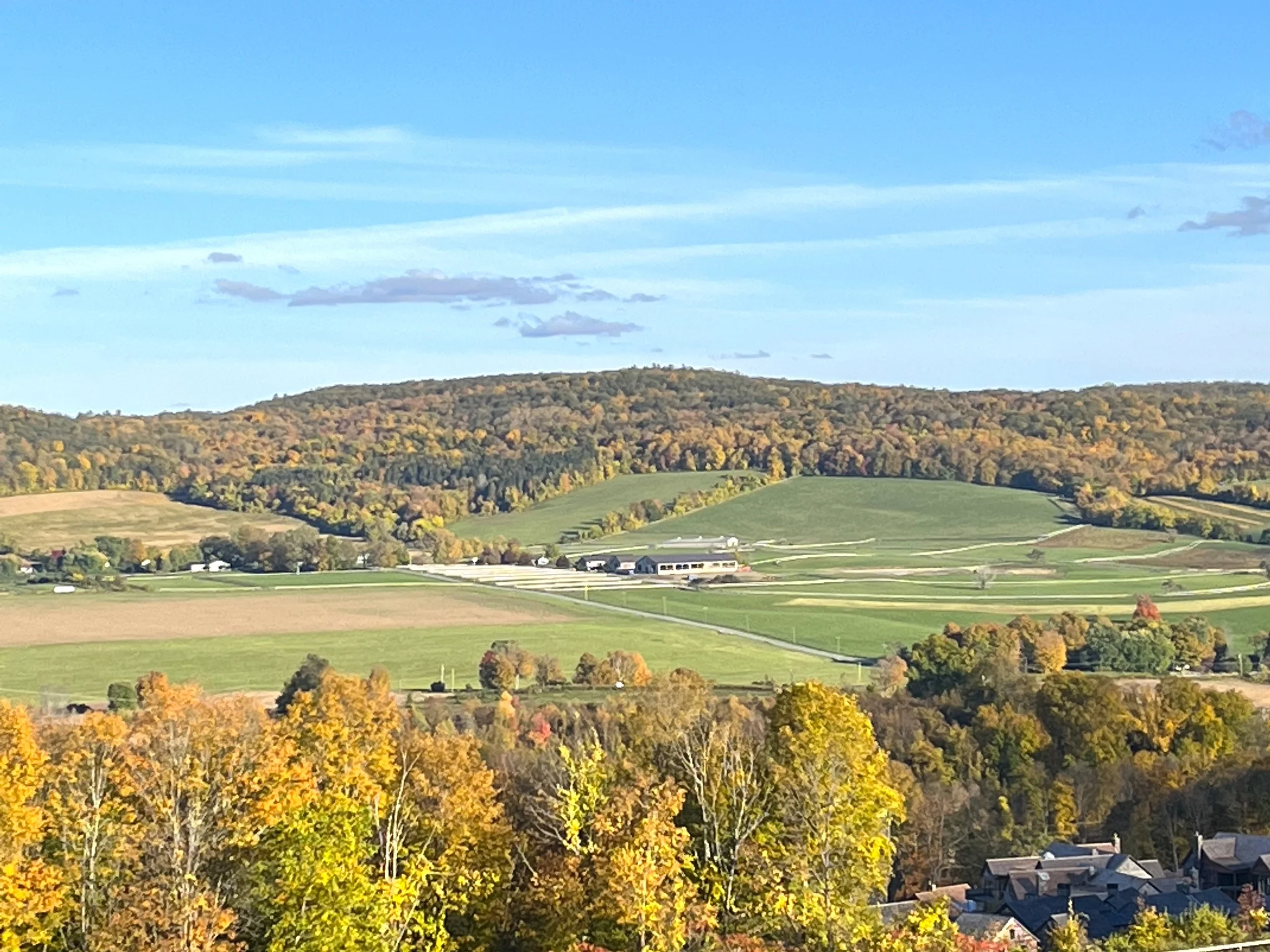 DAY 811: This and That