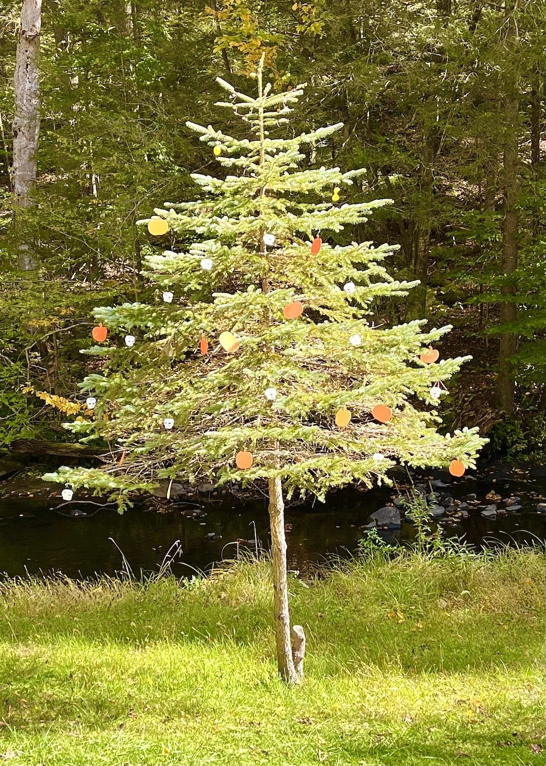 DAY 812: Magic Moments