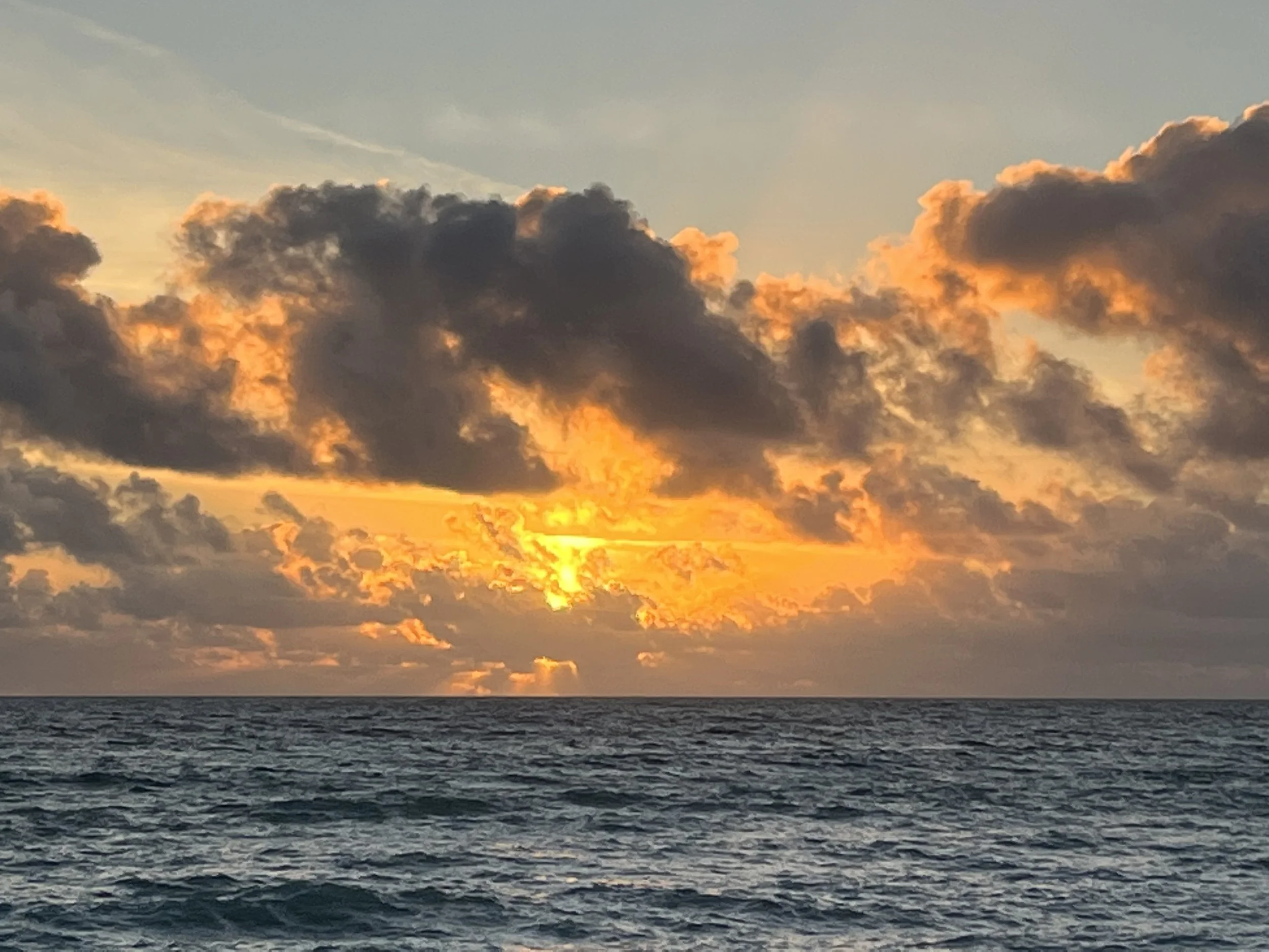 DAY 894: Sunrise At The Beach