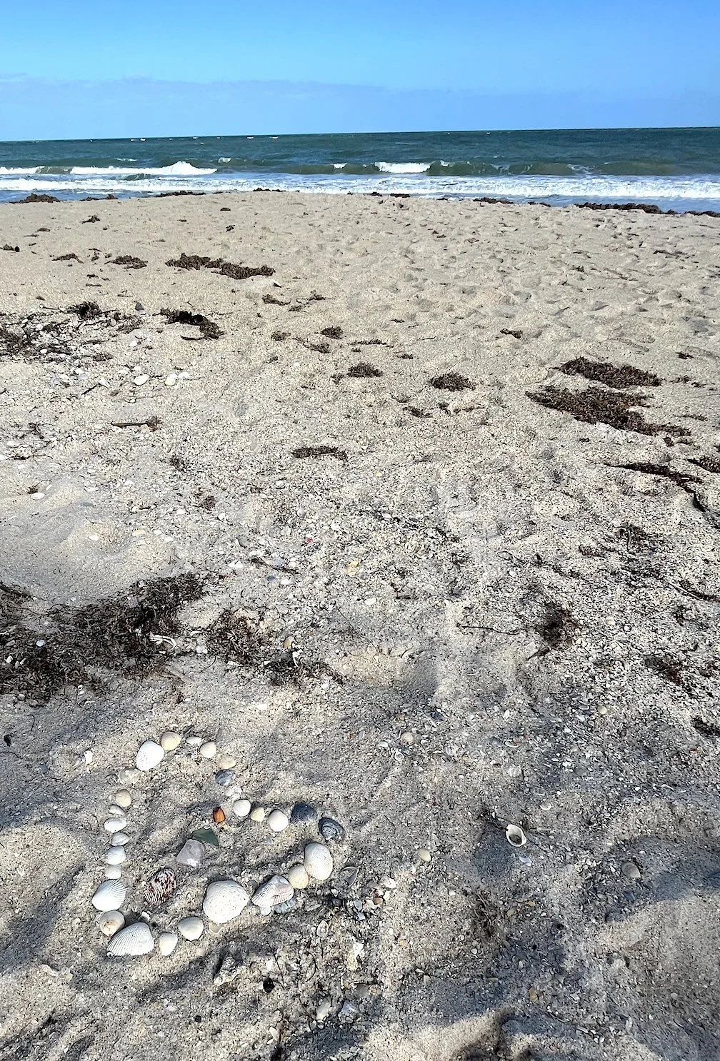 DAY 929: Getting Ready to Say Goodbye