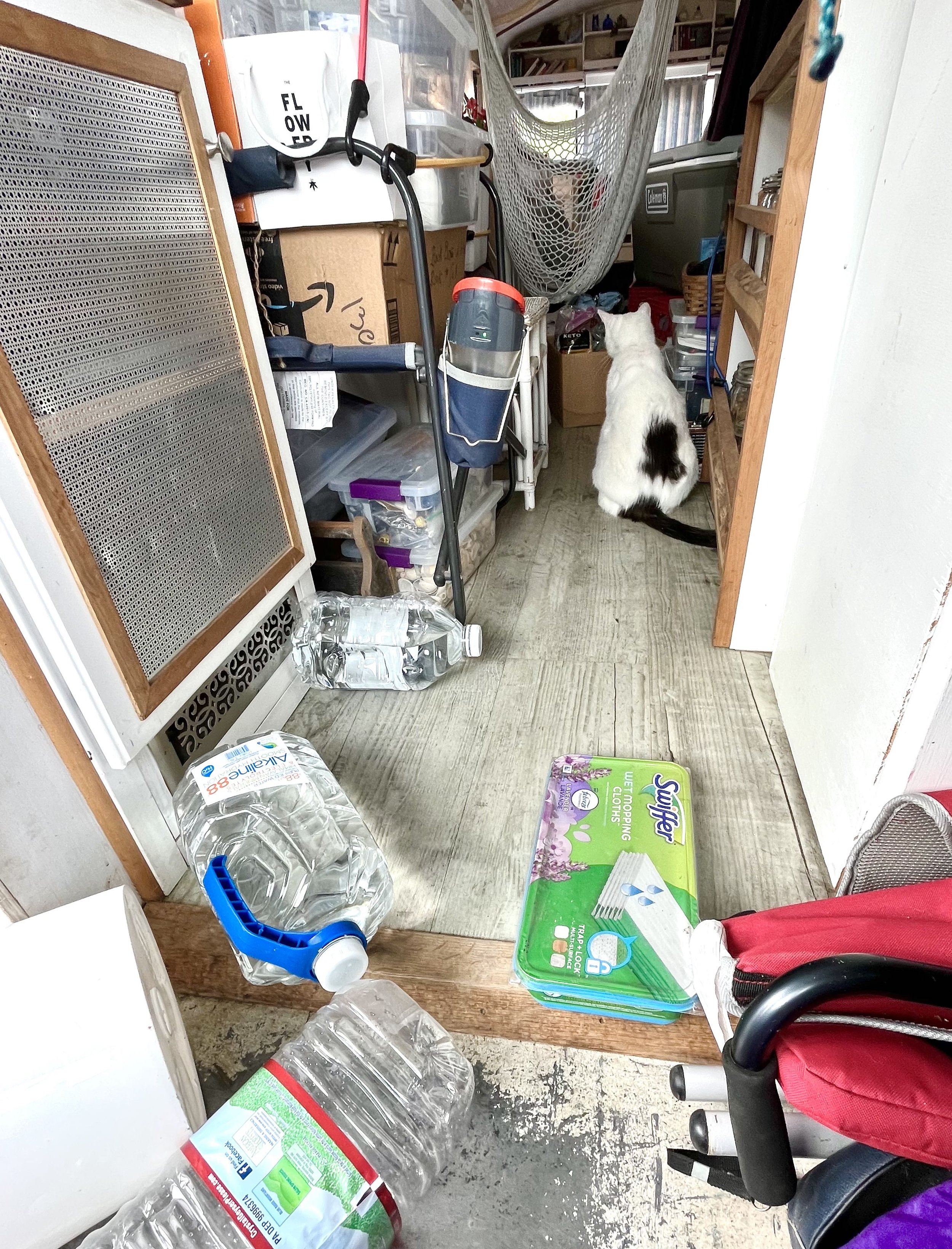 DAY 1002: Crash Avoided (&amp; Happy Earth Day)