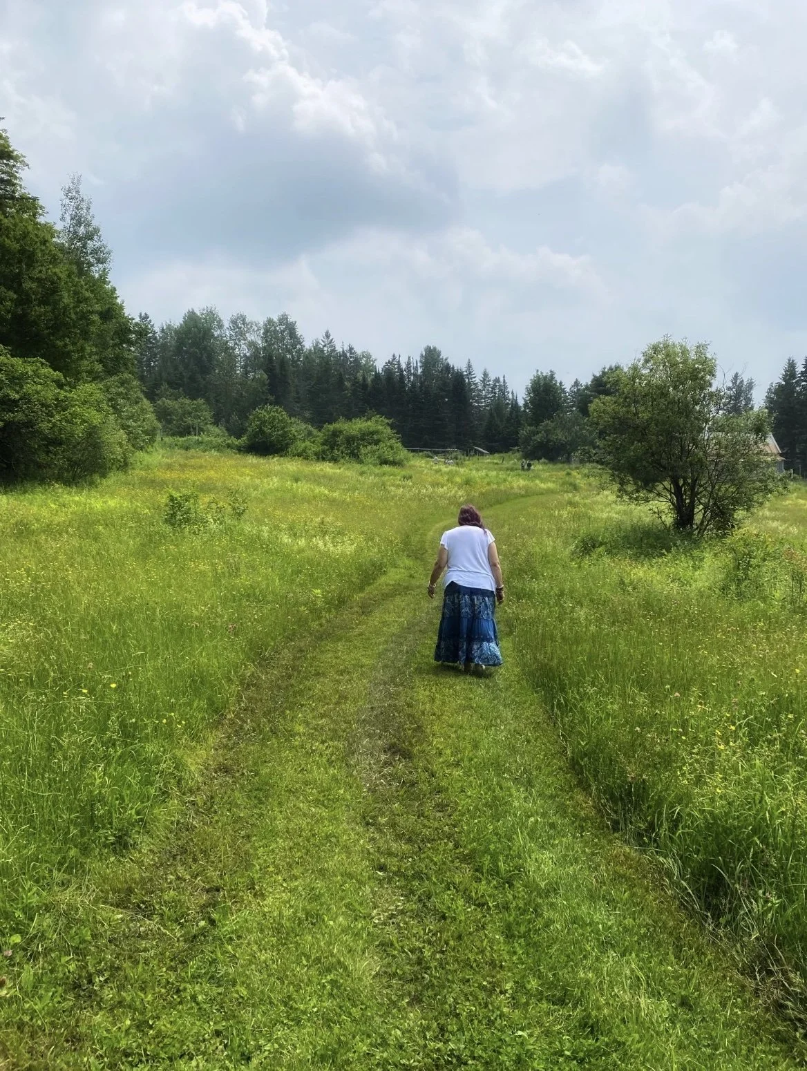 DAY 1063: The Land He Loved