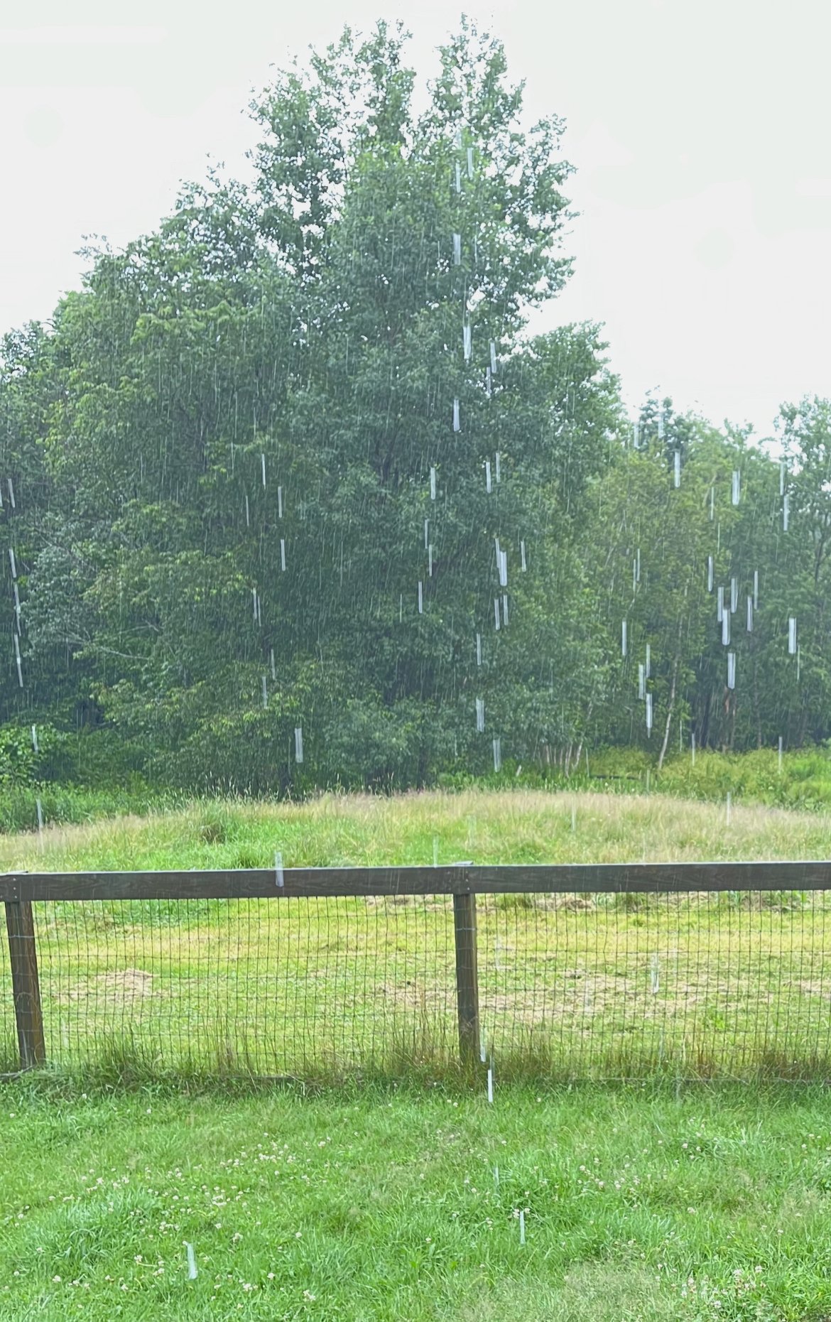 July 10: Rain Rain Rain