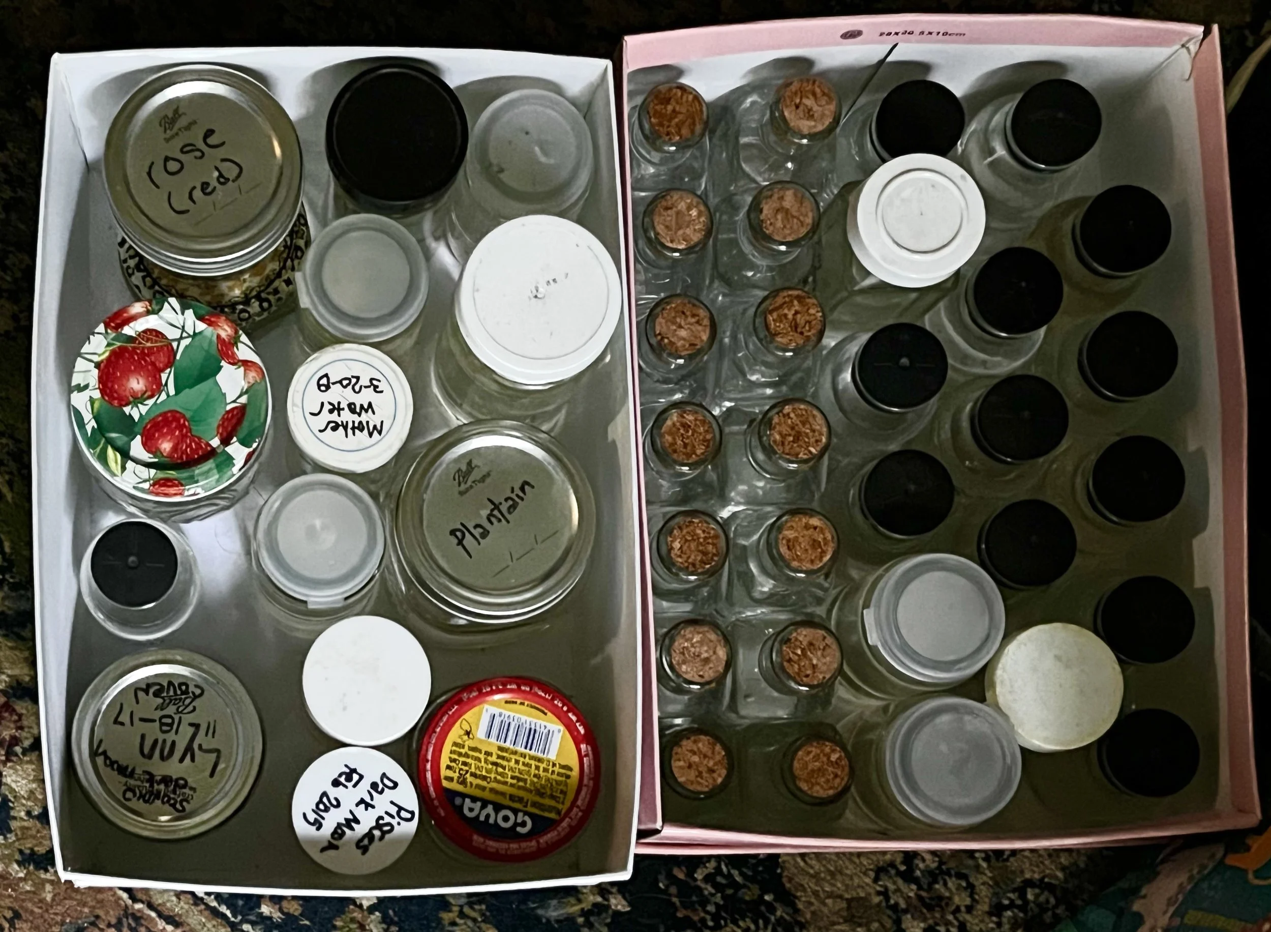 DAY 1073: Making More Mother Water