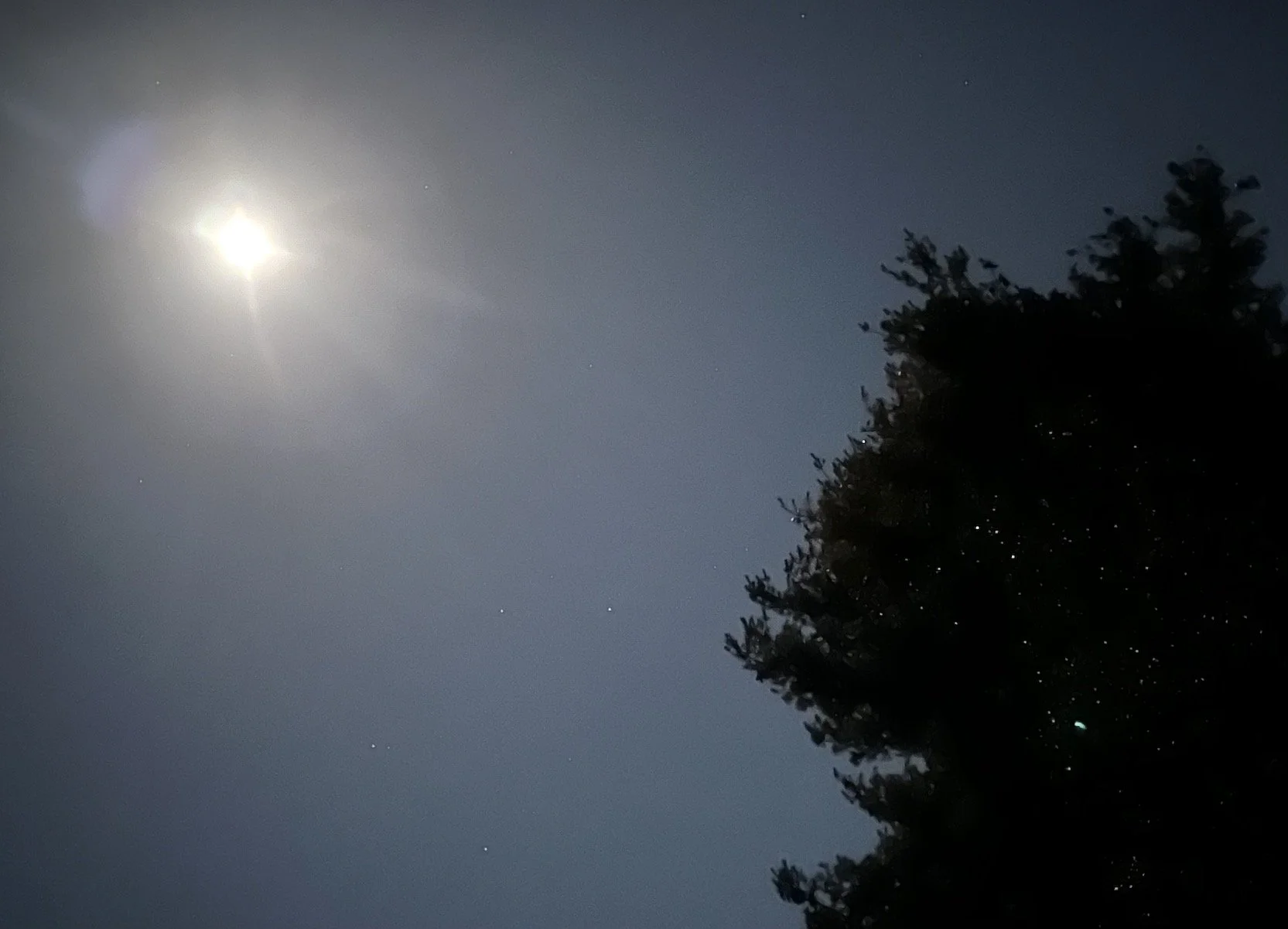 DAY 1115: Astrology's Answers