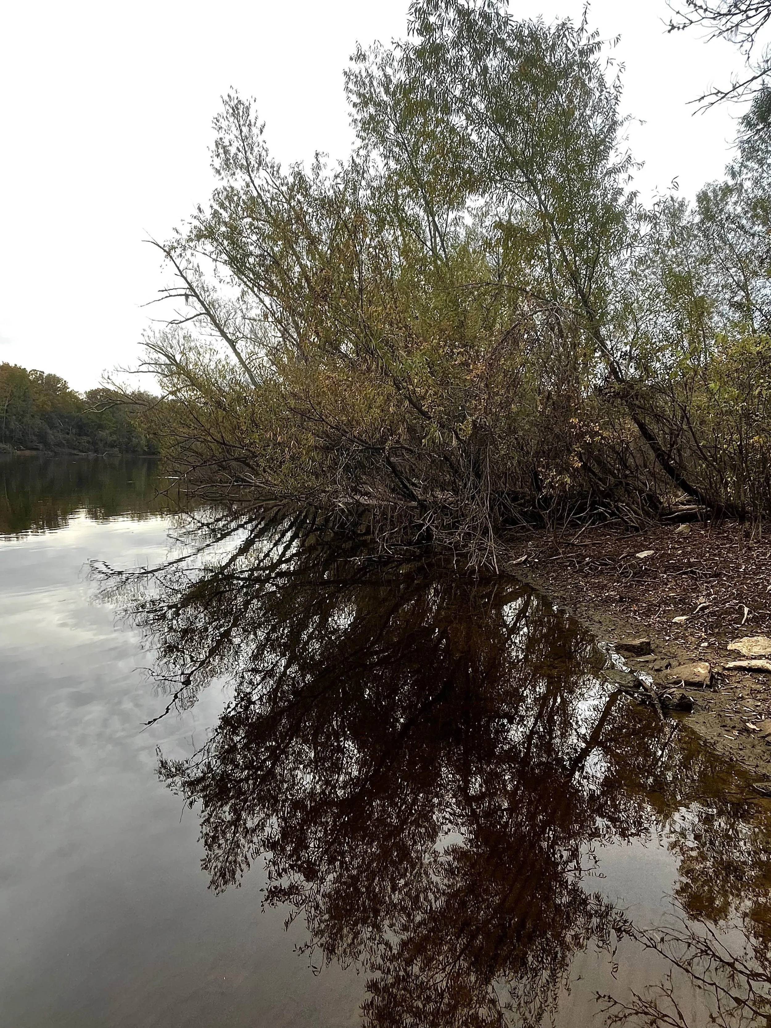 DAY 1135: Middle of Nowhere