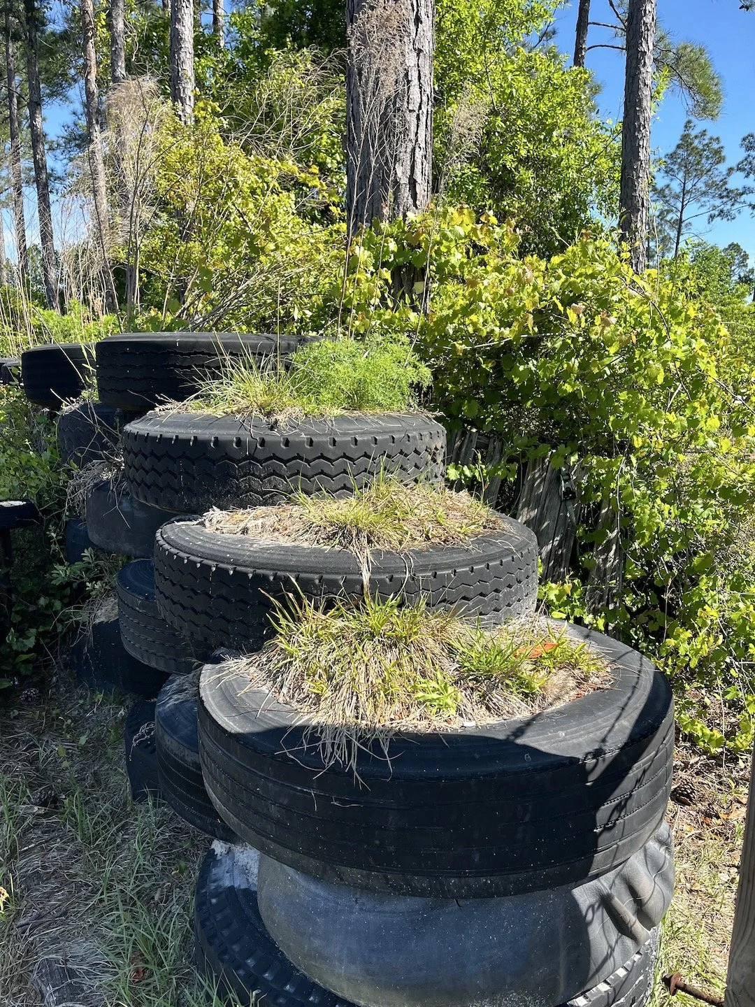 March 30: Healing In Nature