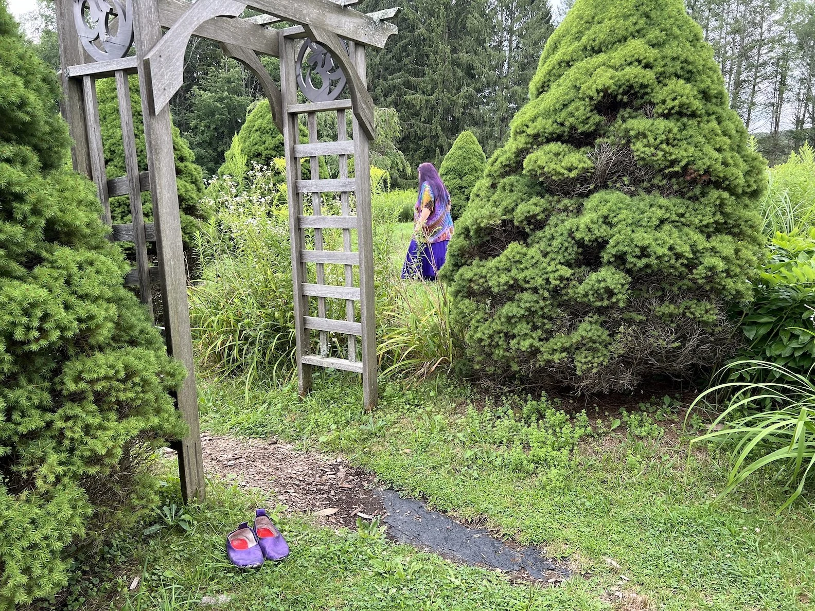 August 7: A Few of My Favorite Things