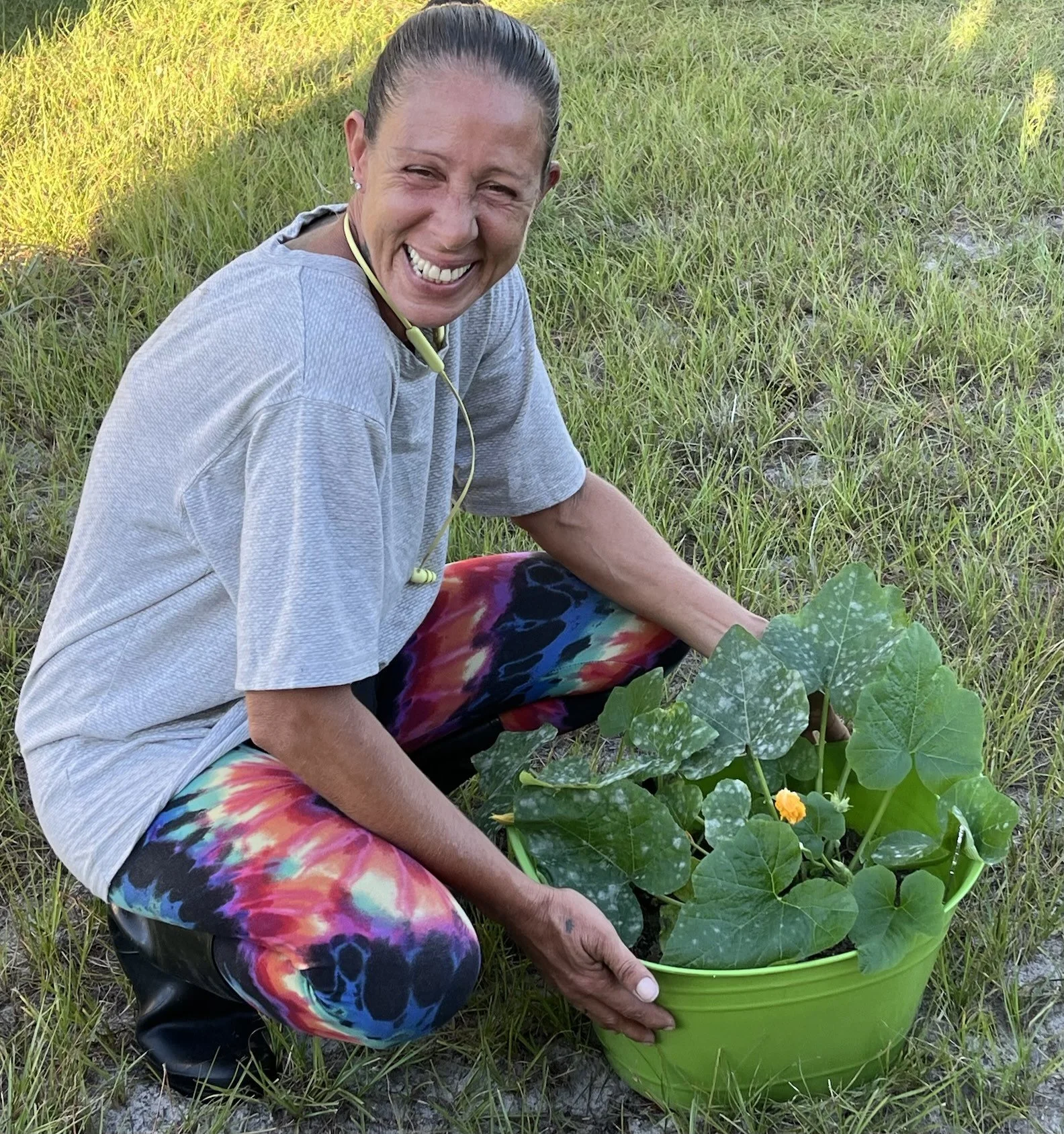 October 12: Parting With Pumpkin Plants