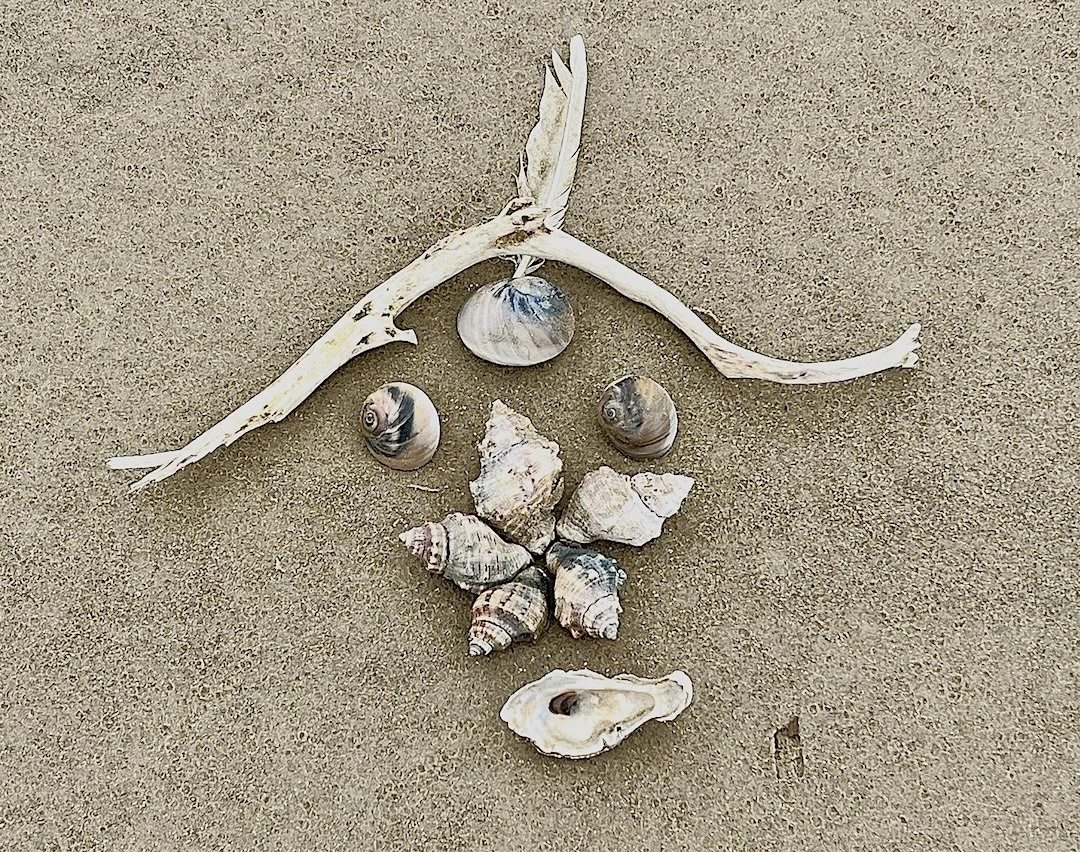 February 23: Beach Time