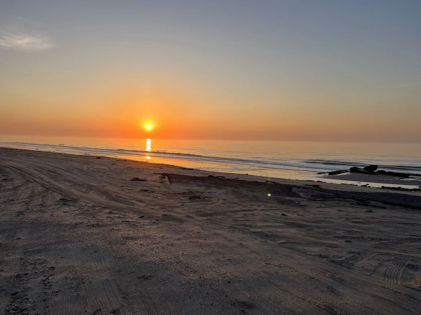 March 1: A Day in Paradise