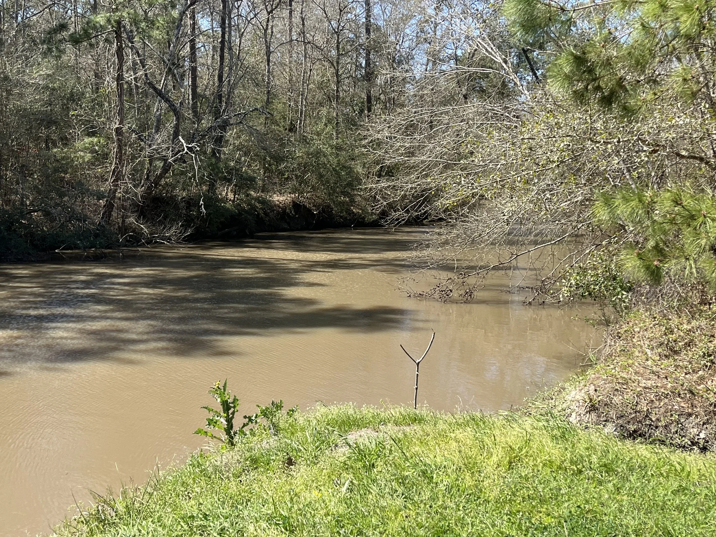 March 3: Middle of Nowhere