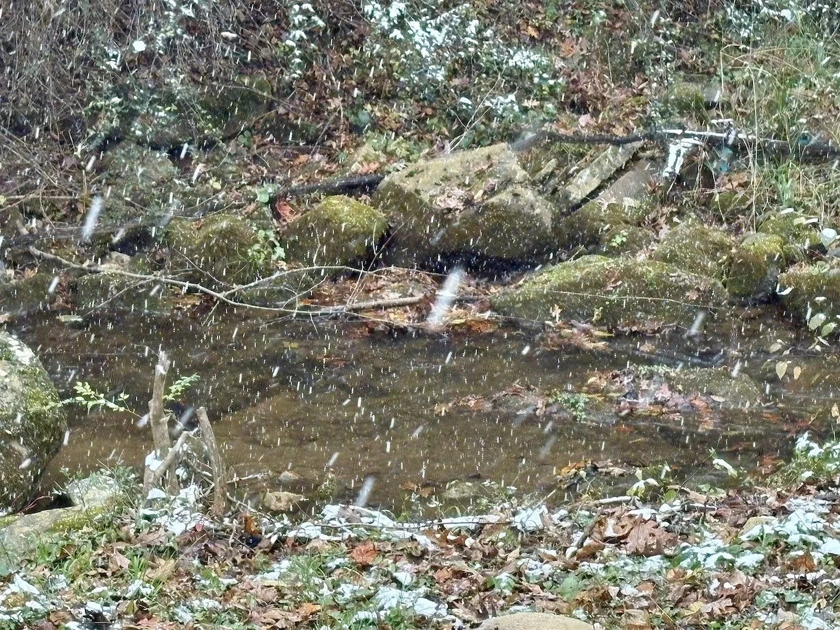 November 10: It’s Snowing