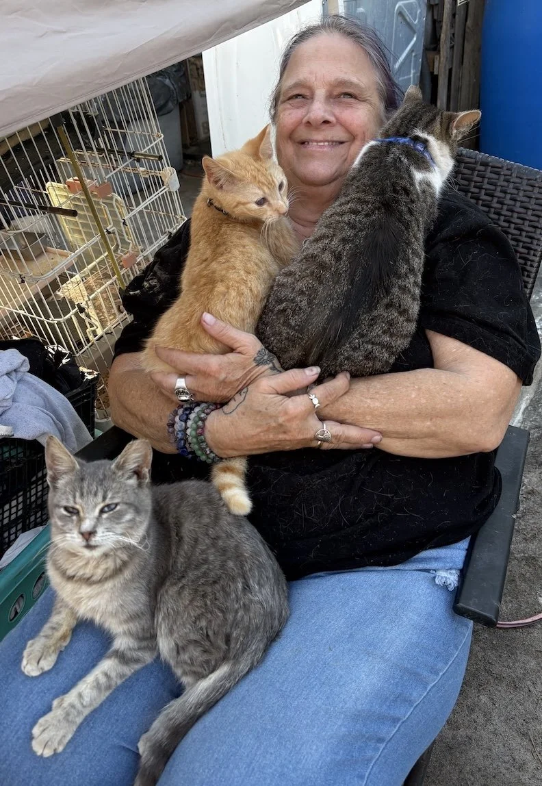 March 7: Insurance Issue