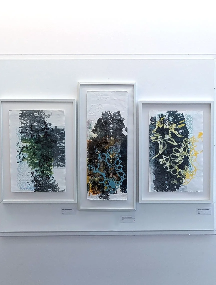 Unseen Order exhibition view, 2024