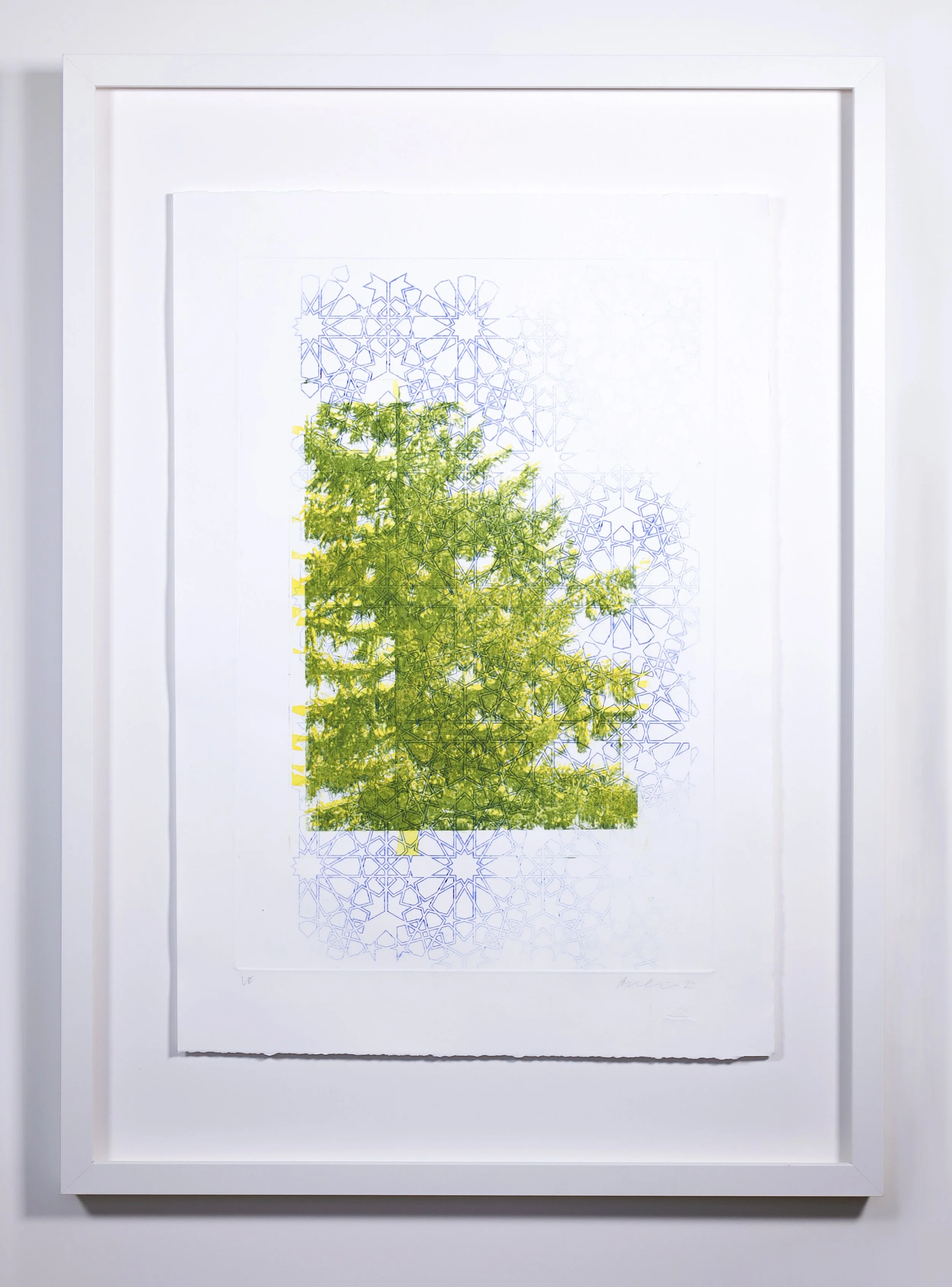 BG23PR025_Gill_Bushra_Sentinel Green Yellow-frame_2023_15x22%22_300.jpg