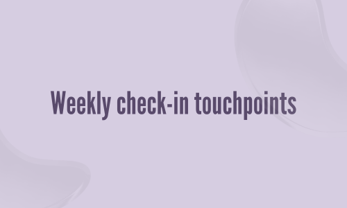Weekly check-in touchpoints.png