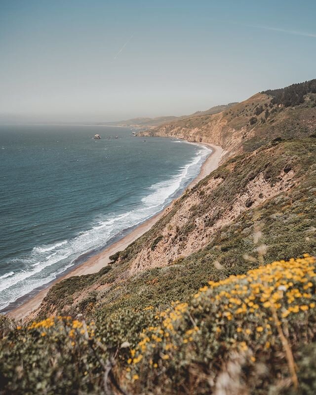 SF Bay Area Days Trips: Hike to Alamere Falls &amp; Palomarin Trail 🌊🌿 Here are some travel tips :
⠀
Alamere Falls is a rare tide fall (waterfall that pours directly into ocean) on the California Coast in Point Reyes National Seashore, only 1 hour 
