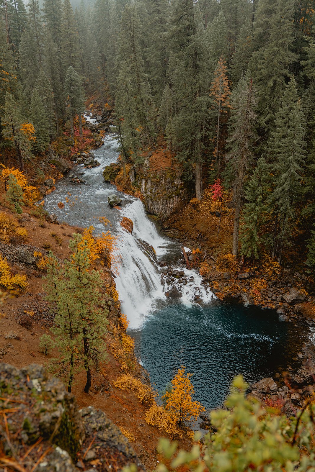 siskiyou by sarowly 10.jpg