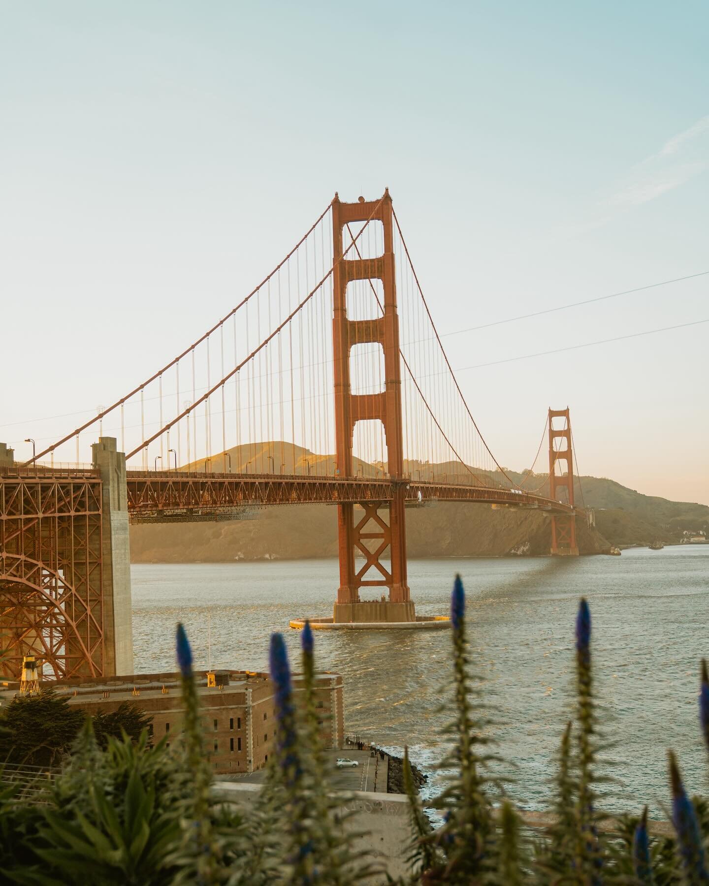 Spring in San Francisco 🌷✨🎞️

#sanfrancisco #goldengatebridge #sfphotographer #sfphotography #sfgate #secret_sanfrancisco #california #sfbayarea #usatravel #visitcalifornia #flysfo