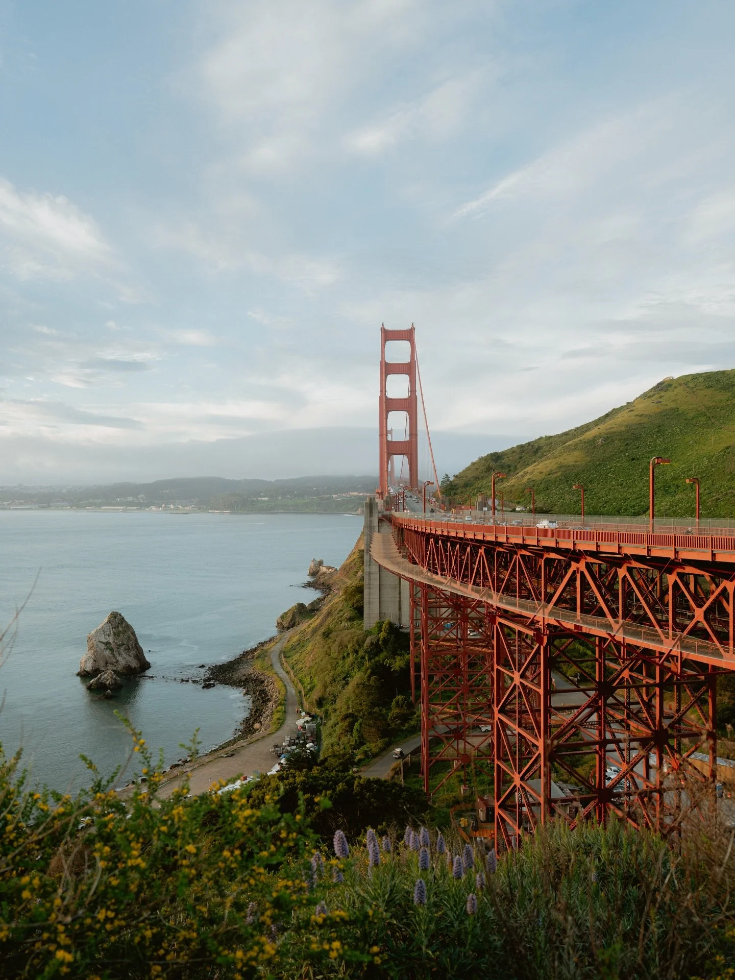 Spring is here 🌼🌸🌷🌞

#sanfrancisco #goldengatebridge #california #sfphotographer #telegraphhill