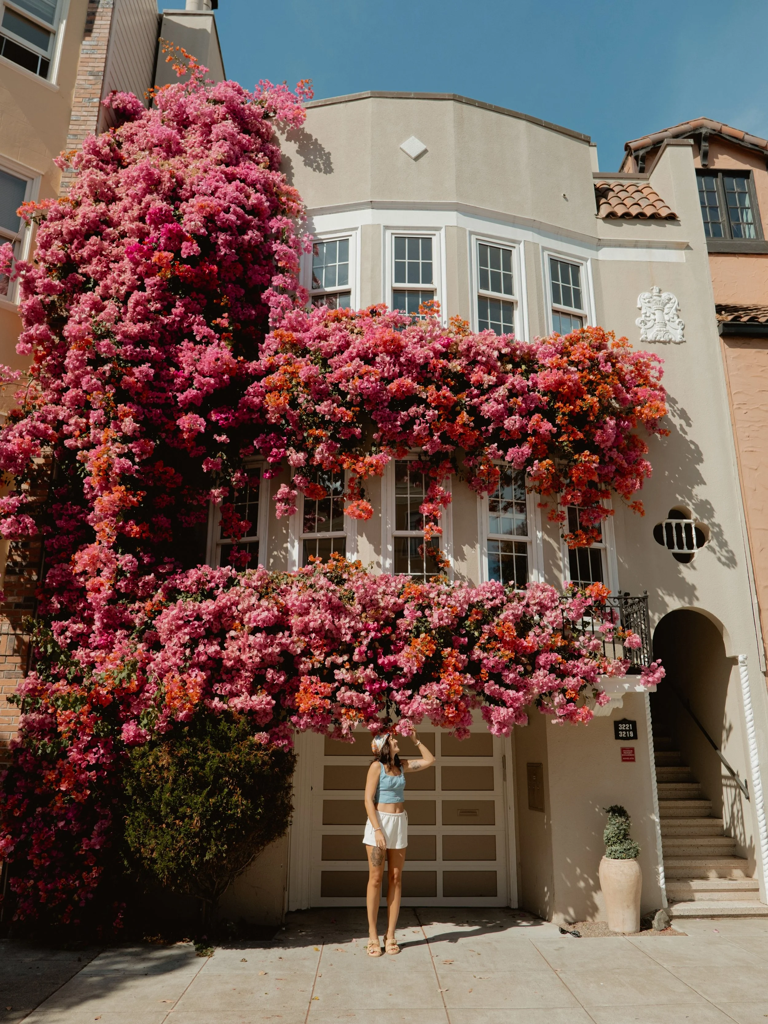 Recently in San Francisco 🌸🌞 

#sanfrancisco #sfblogger #marina #californiablogger #sfphotographer