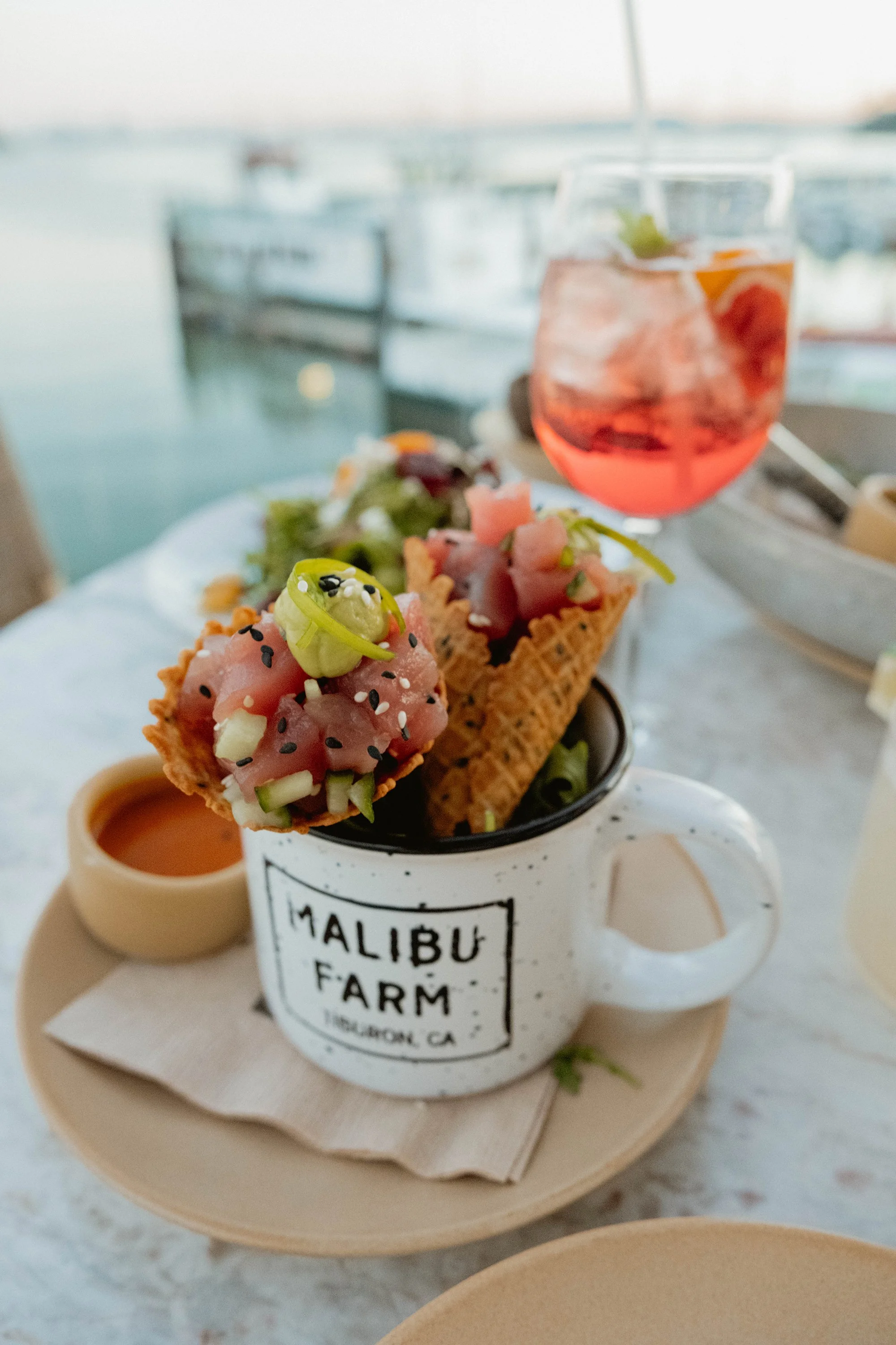 sf bay area hospitality photographer malibu farm tiburon.jpg