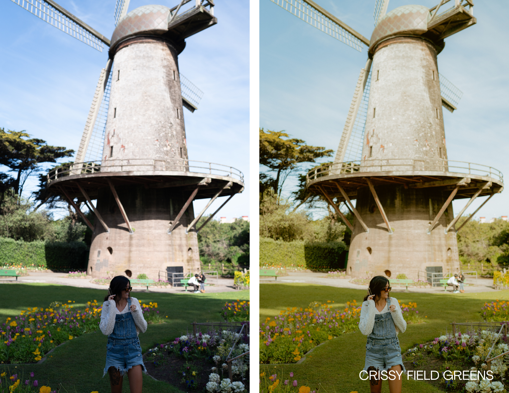 crissy field greens before and after.png