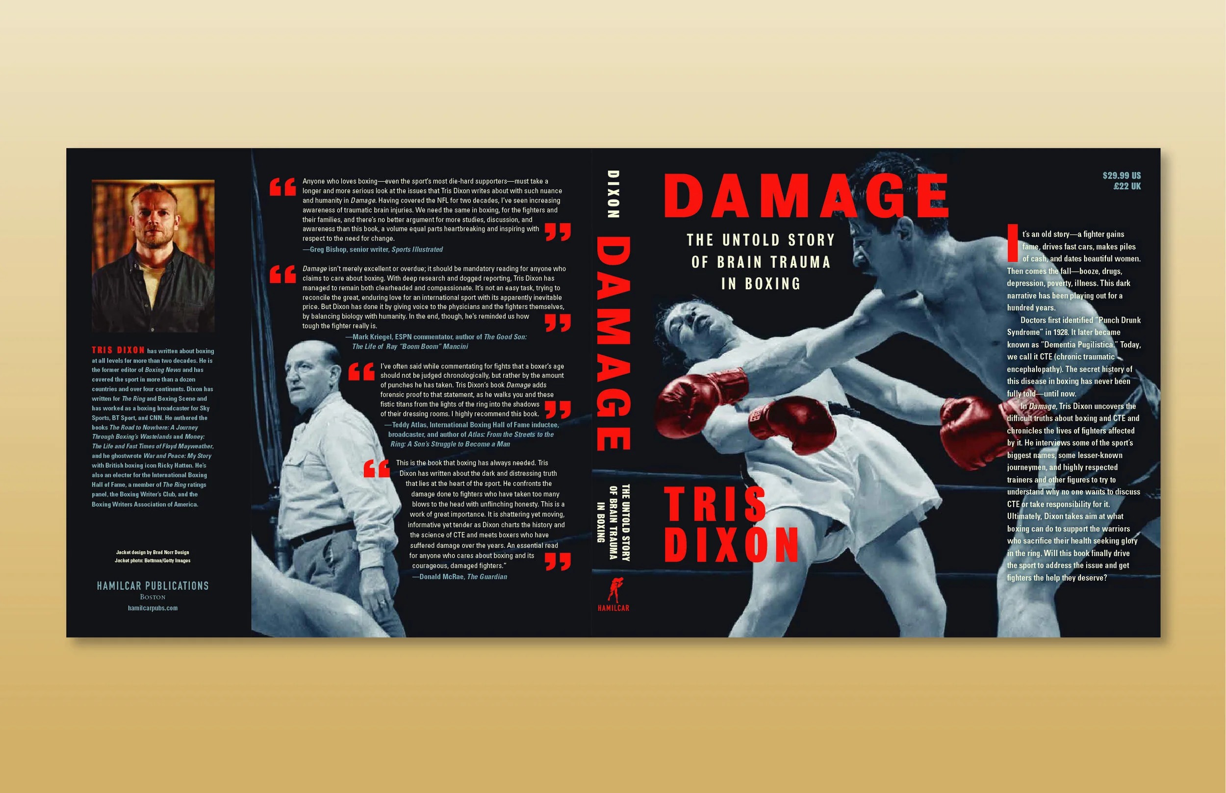 BND_Hannibal_Damage_1-02.jpg