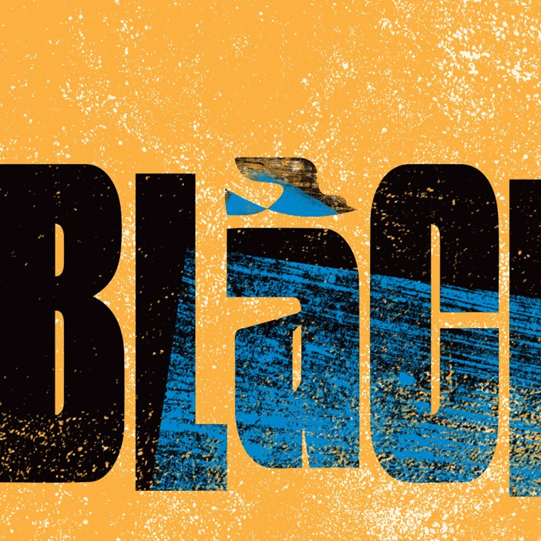 BND_Blackbird_3.jpg