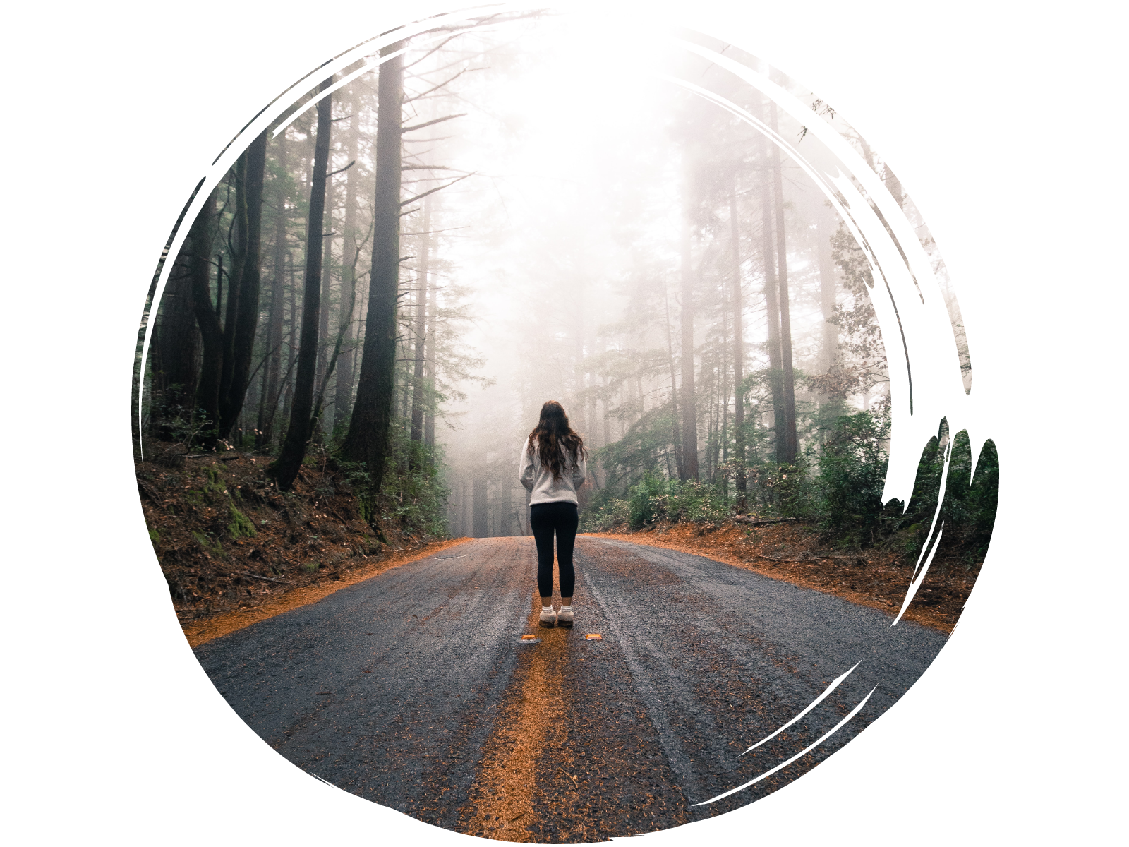 Adoption uncertainty.png