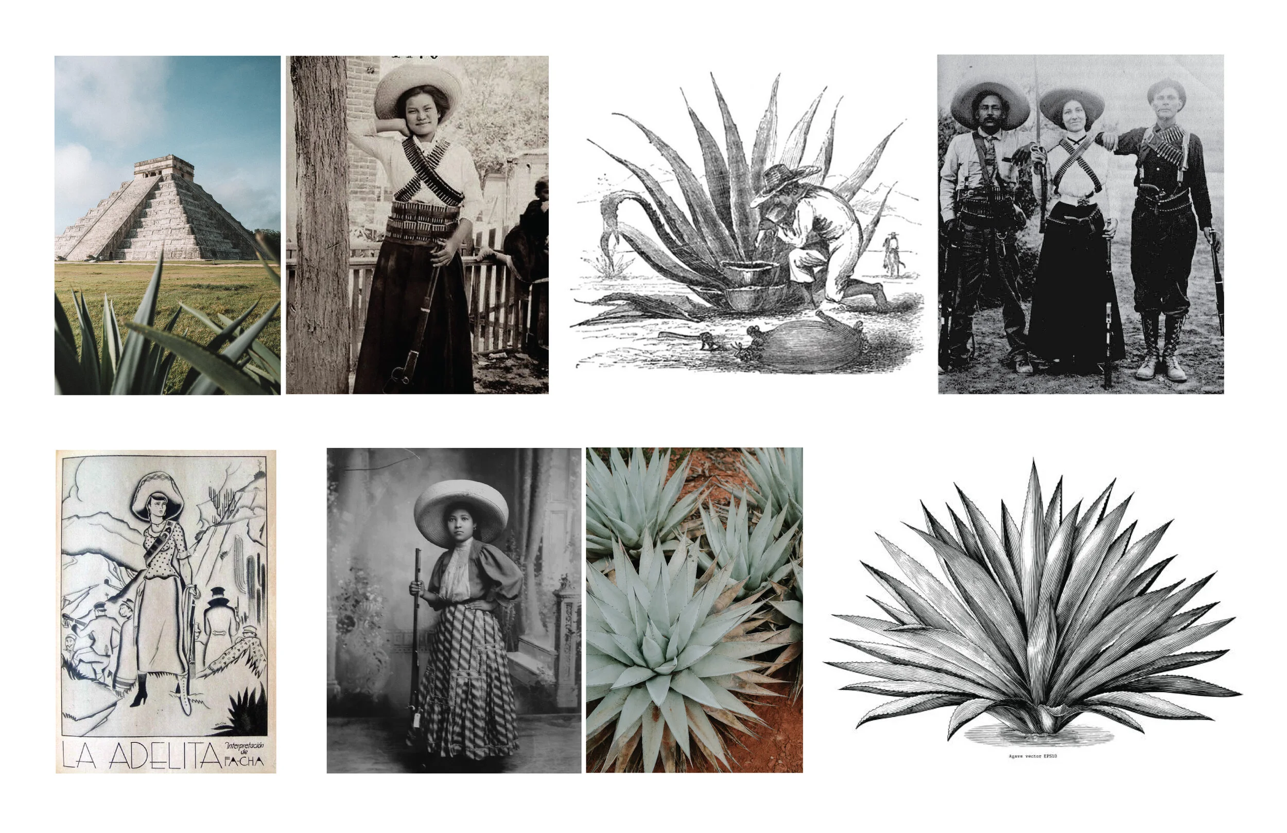 LA_ADELITA_EXPLORE_2-02.jpg