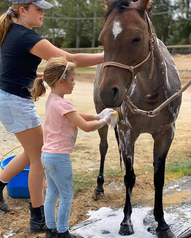 A couple of girls and their ponies, getting all scrubbed up for pony club. 🛁🧽🧼🚿