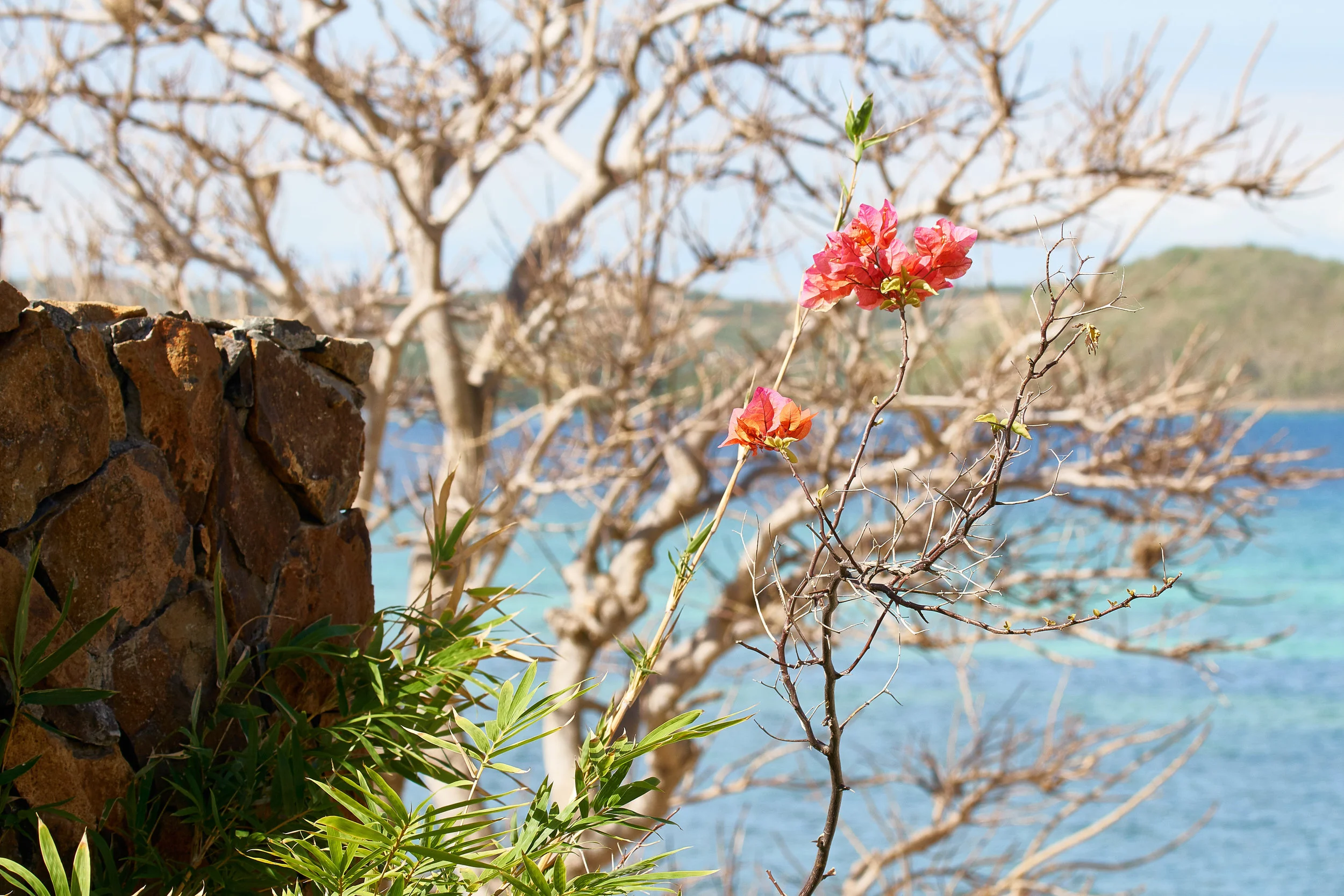 inlightlombok 8.jpg