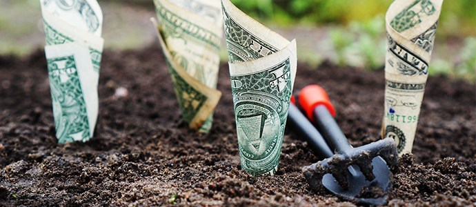 Growing money will be easier than this. Photo credit: pexels