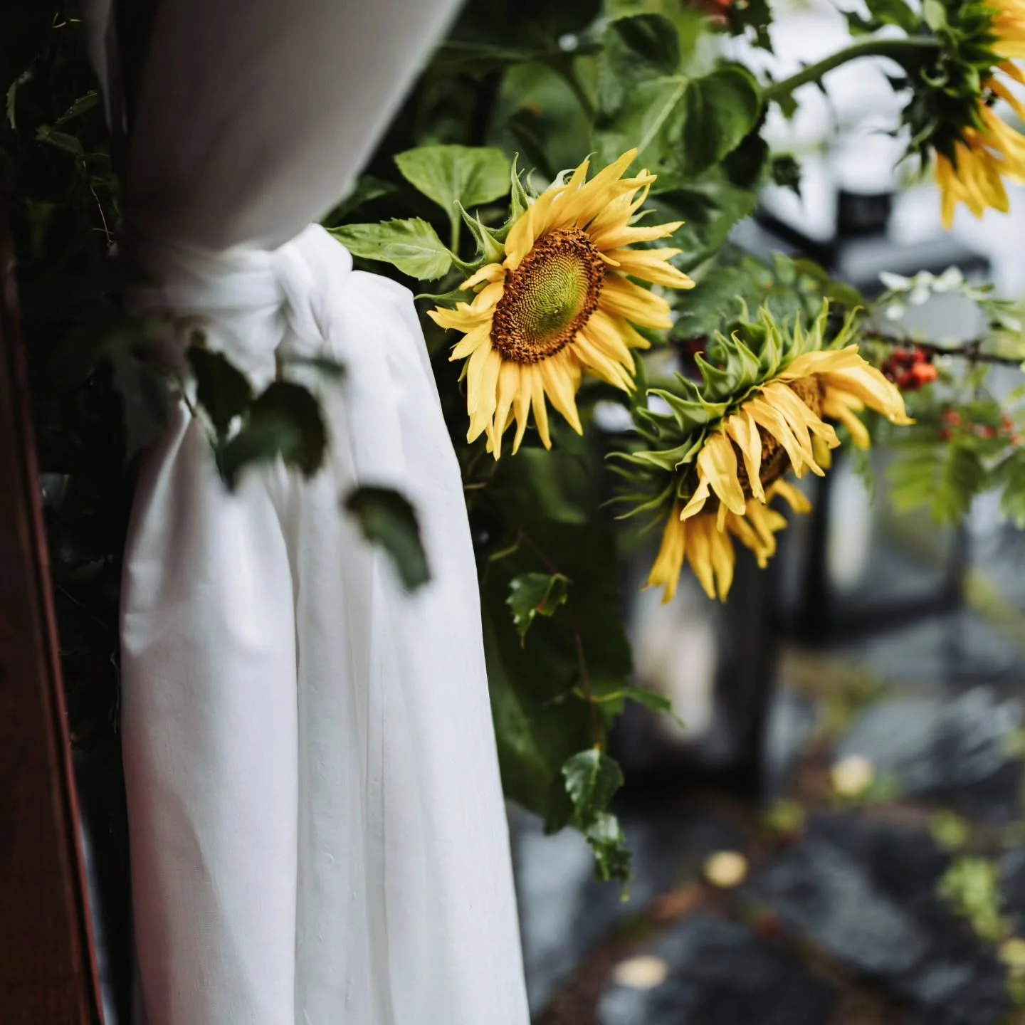 Seuraavaksi  uusista h&auml;&auml;paketeistamme esittelyss&auml; SUPER- PAKETTI 💞 

SUPER  on valintasi, kun haluat s&auml;&auml;st&ouml;&auml; sek&auml; helppoutta juhlan valmisteluun ja j&auml;lkipyykkiin.

Pakettiin sis&auml;ltyy 
-  juhlatilan t